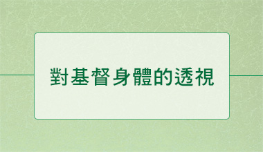 對基督身體的透視（會3056）